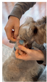 Tapones de silicona (X4)