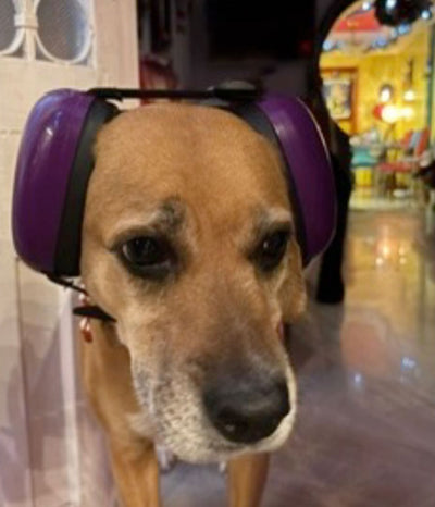 Cliente de Orejitas Felices