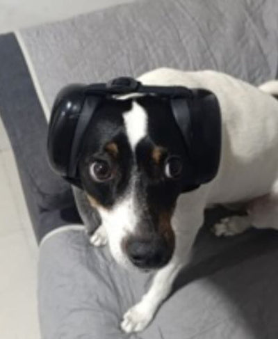 Cliente de Orejitas Felices